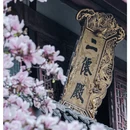 成都旅游 缩略图 6