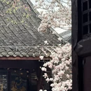 成都旅游 缩略图 5