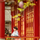 成都旅游 缩略图 2