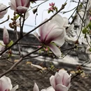成都旅游 缩略图 16