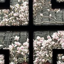 成都旅游 缩略图 8