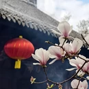 成都旅游 缩略图 13