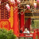 成都旅游 缩略图 3