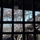 成都旅游 缩略图 4