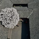 成都旅游 缩略图 2