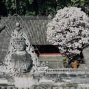 成都旅游 缩略图 3