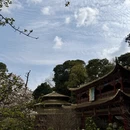 成都旅游 缩略图 3
