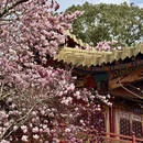 成都旅游 缩略图 4