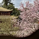 成都旅游 缩略图 7