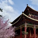 成都旅游 缩略图 14