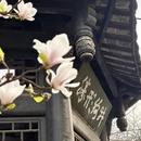 成都旅游 缩略图 7