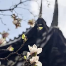 成都旅游 缩略图 9
