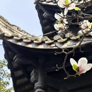 成都旅游 缩略图 5