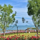 青岛旅游 缩略图 1