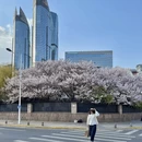 青岛旅游 缩略图 11