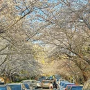青岛旅游 缩略图 5