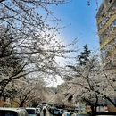 青岛旅游 缩略图 6