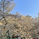青岛旅游 缩略图 4