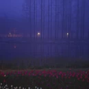 青岛旅游 缩略图 6