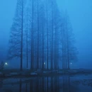 青岛旅游 缩略图 4