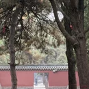 大连旅游 缩略图 4
