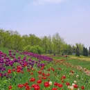 大连旅游 缩略图 5
