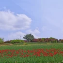 大连旅游 缩略图 6