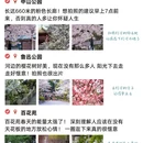 青岛旅游 缩略图 1
