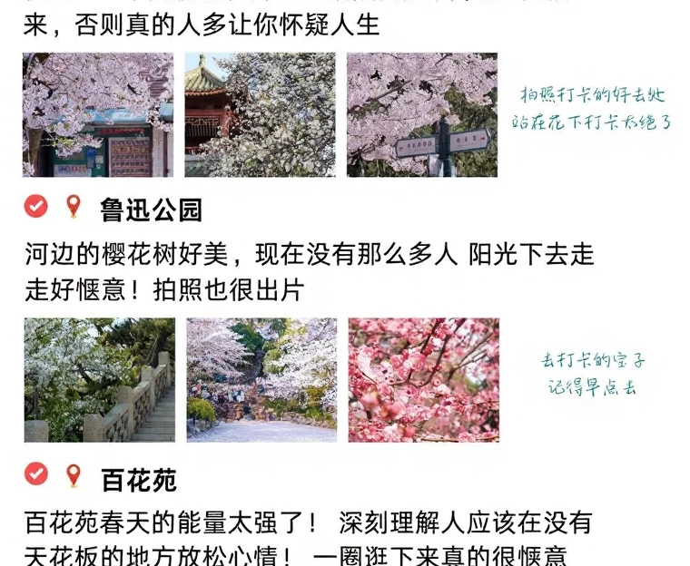 青岛旅游 1