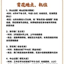 青岛旅游 缩略图 2