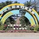青岛旅游 缩略图 1