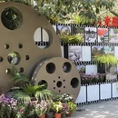 青岛旅游 缩略图 5