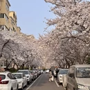 青岛旅游 缩略图 2