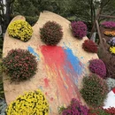青岛旅游 缩略图 7