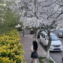 青岛旅游 缩略图 5