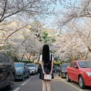 青岛旅游 缩略图 1