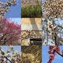 青岛旅游 缩略图 1