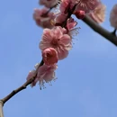 青岛旅游 缩略图 10