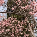 青岛旅游 缩略图 11