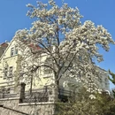 青岛旅游 缩略图 6