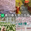 青岛旅游 缩略图 1