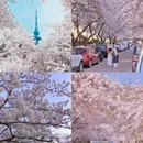 青岛旅游 缩略图 4