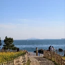 青岛旅游 缩略图 1