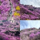 青岛旅游 缩略图 9