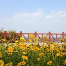 青岛旅游 缩略图 3