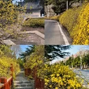 青岛旅游 缩略图 8
