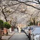 青岛旅游 缩略图 11