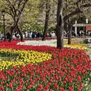 青岛旅游 缩略图 17