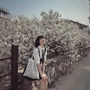 青岛旅游 缩略图 3