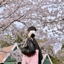 青岛旅游 缩略图 4